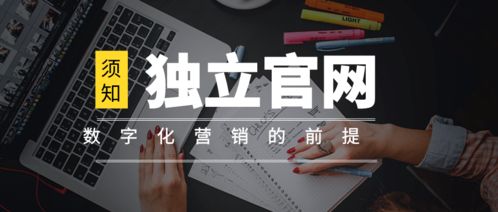 離開獨立官網談數字化營銷，無異于網絡文化經營中的“無本之木”