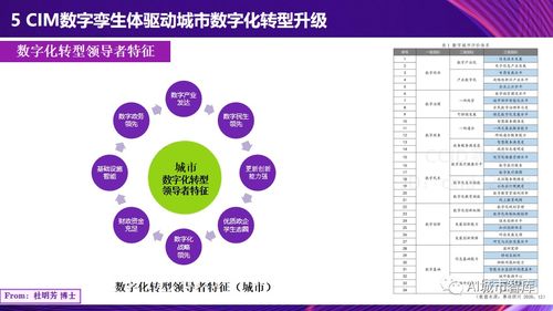 數(shù)字孿生城市 數(shù)字技術(shù)服務(wù)城市治理的理論與實(shí)踐